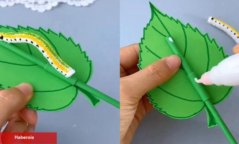 Kıymetli oyuncaklara gerek yok! Kağıt havlu ve kartondan bakın neler oluyor - Haberois Kıymetli oyuncaklara gerek yok! Kağıt havlu ve kartondan bakın neler oluyor
