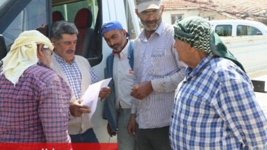 Manisa'da kiraz üreticisine destek