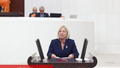 Nurten Yontar: "Ne kadını koruyabiliyorlar ne de aileyi"