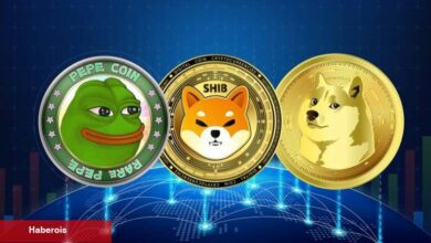 PEPE Coin, SHIB ve DOGE: “Mega Ralli” Geliyor mu?
