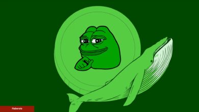 PEPE Coin ve Bu 3’ü İçin Balinalar Harekete Geçti: İşte Süreçler