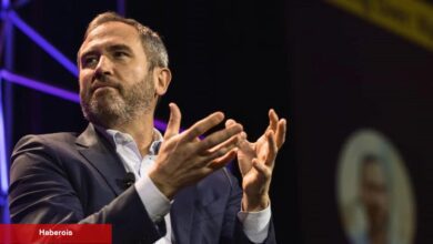Ripple CEO’su: Bu Altcoin’ler Katiyen Menkul Değer Değil!