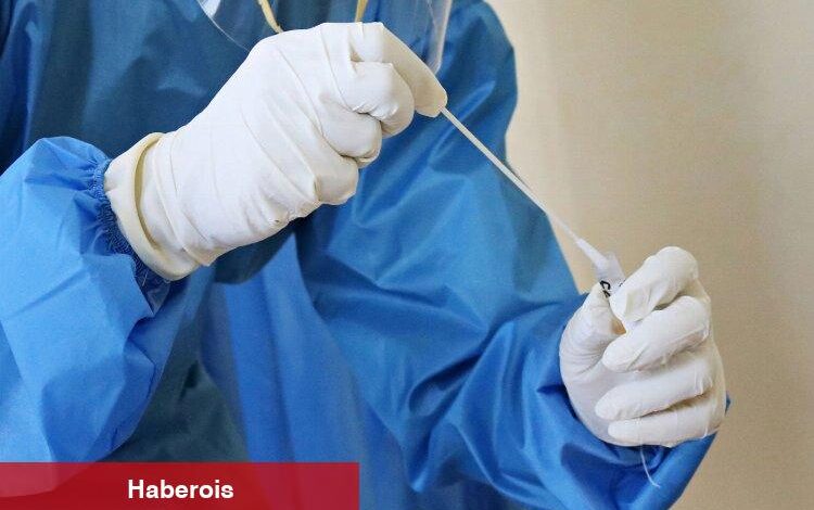 SAHİM-SEN: SUT ile emekler hiçe sayılıyor - Haberois SAHİM-SEN: SUT ile emekler hiçe sayılıyor