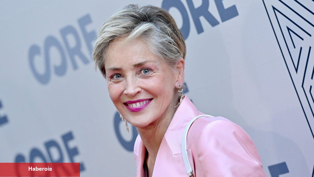 Sharon Stone'dan yıllar sonra gelen Kurtlar Vadisi itirafı: Çok uygun para verdiler!