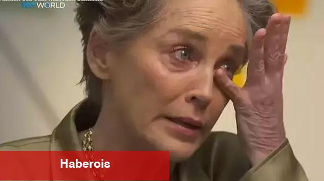 Sharon Stone'dan yıllar sonra gelen Kurtlar Vadisi itirafı: Çok uygun para verdiler!