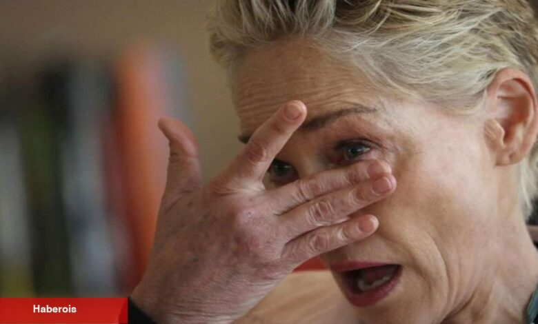 Sharon Stone'dan yıllar sonra gelen Kurtlar Vadisi itirafı: Çok uygun para verdiler! - Haberois Sharon Stone'dan yıllar sonra gelen Kurtlar Vadisi itirafı: Çok uygun para verdiler!