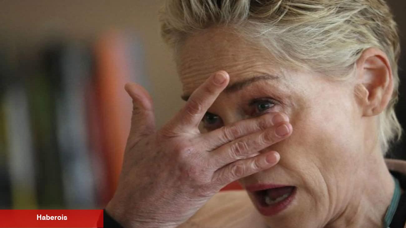 Sharon Stone'dan yıllar sonra gelen Kurtlar Vadisi itirafı: Çok uygun para verdiler!