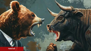 SHIB, TON, XRP, AVAX Coin ve Bu 6 Coin için Al-Sat Seviyeleri!
