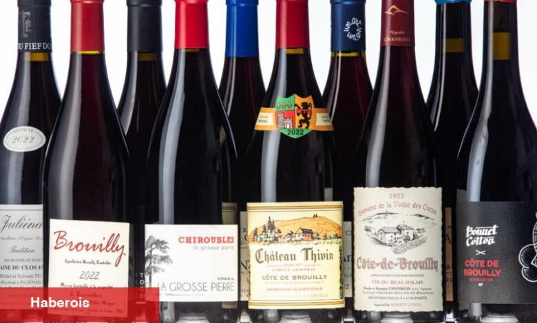 Şimdi veya Birkaç Yıl İçinde İçilecek 10 Harika 2022 Beaujolais - Haberois Şimdi veya Birkaç Yıl İçinde İçilecek 10 Harika 2022 Beaujolais
