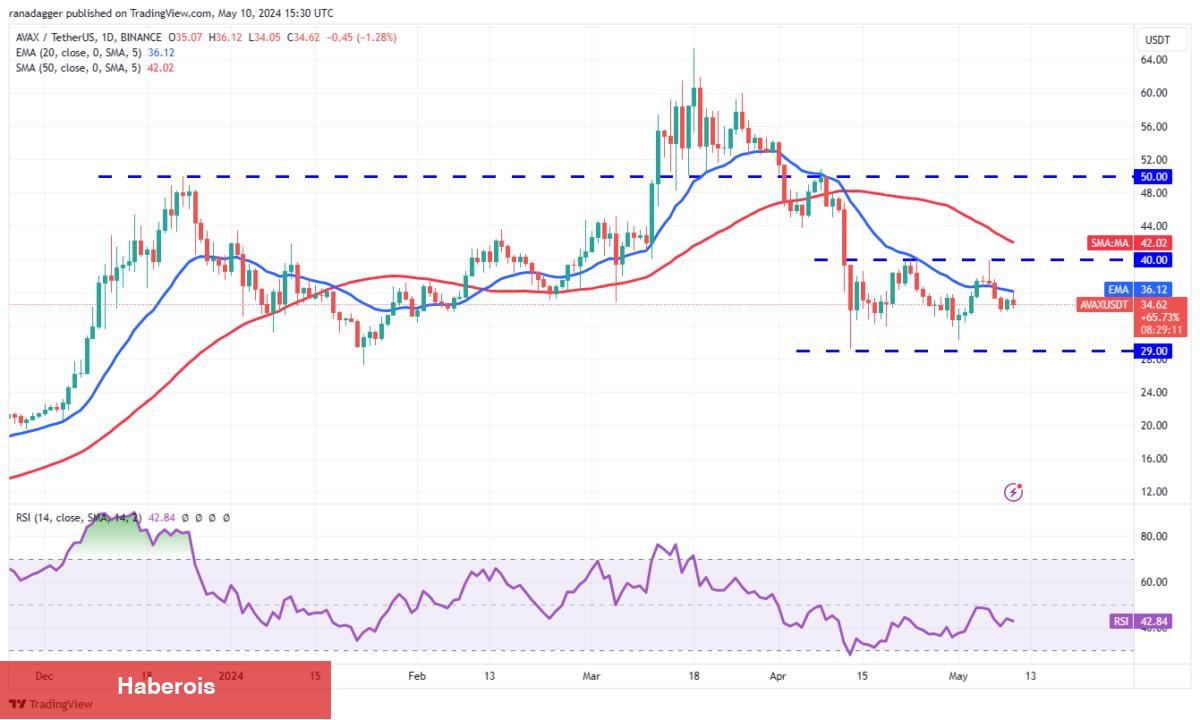 SOL, XRP, SHIB, AVAX Coin ve Bu 6 Kripto İçin Al-Sat Seviyeleri!