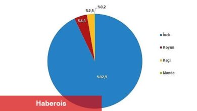 Tüik: Çiğ süt üretimi 2023 yılında %0,4 azalarak 21 milyon 481 bin 567 ton oldu