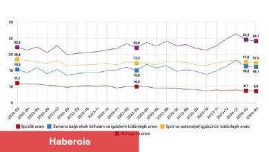 Tüik: Mevsim etkisinden arındırılmış işsizlik oranı %8,6 seviyesinde gerçekleşti
