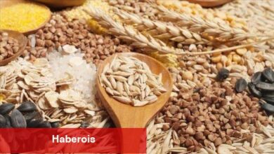 Türkiye ile global besin enflasyonu makası Nisan’da da devam etti