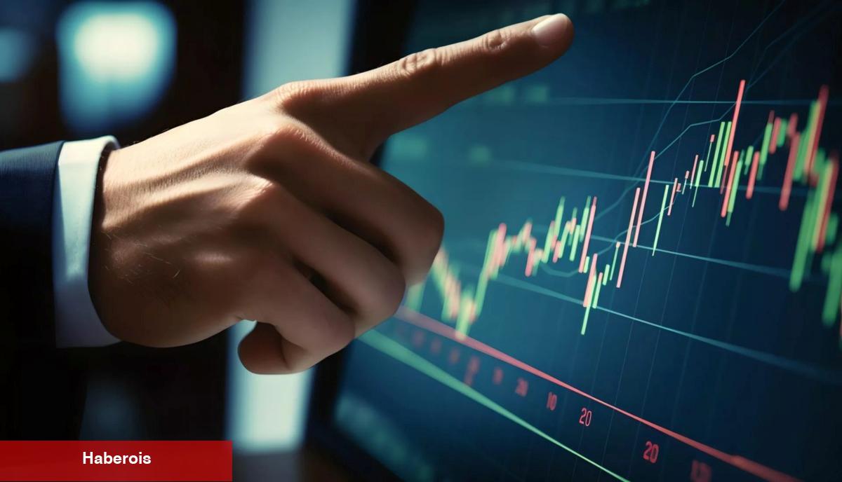 Türkler, Bu Hafta DOGE ve O 9 Altcoin’i Araştırdı! - Haberois Türkler, Bu Hafta DOGE ve O 9 Altcoin’i Araştırdı!