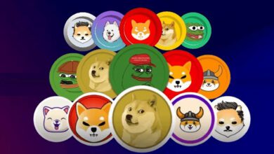 Usta Analist 2 Sürpriz Göğüs Coin İsmi Verdi: DOGE’den Evvel Alacağım!
