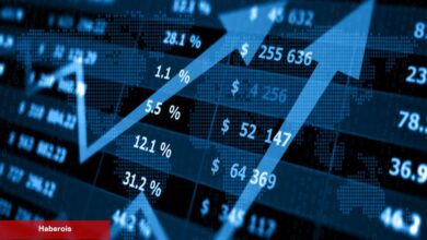 Uzman Görüşü: Bu 2 Altcoin Sıçramak İçin Uygun Konumda!