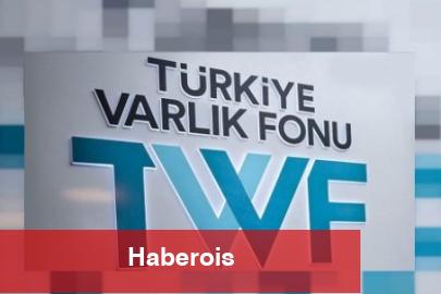 12 şirketin hisseleri Varlık Fonu'na aktarıldı