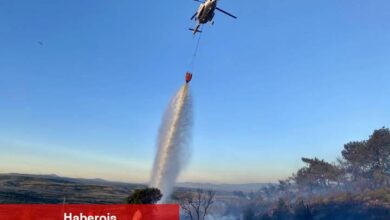 17 İlde Orman Arazileri Orman Vasfından Çıkarıldı! 
