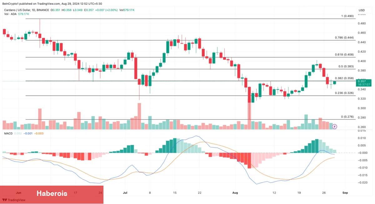 Analist: Bu 3 Altcoin Eylül’de Daha Uygun Performans Gösterecek! - Haberois Analist: Bu 3 Altcoin Eylül’de Daha Uygun Performans Gösterecek!