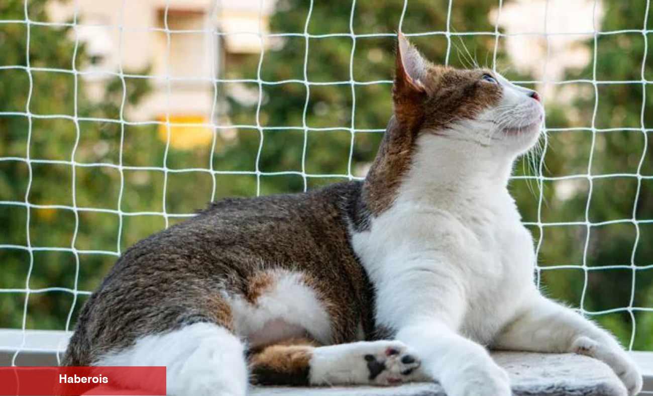 Balkonlarda güvenliğin sembolü: Balkon Filesi! Balkon filesi nasıl takılır?