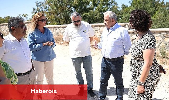 Başkan Şadi Özdemir sokak hayvanları için hazırlanan projeyi inceledi - Haberois Başkan Şadi Özdemir sokak hayvanları için hazırlanan projeyi inceledi