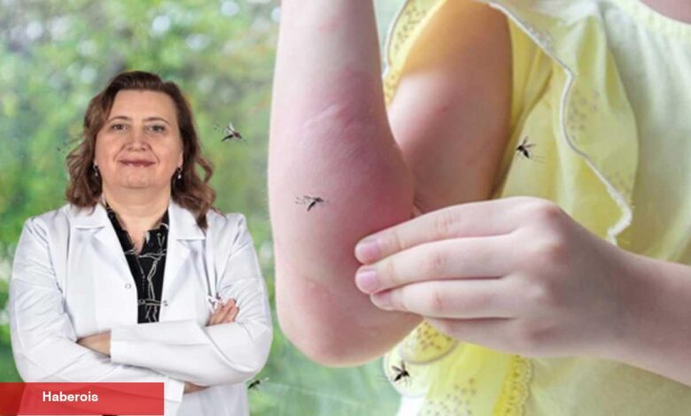 Böcek ısırıkları ve sokmalarında mevt riski! Birinci 20 saniye kritik - Haberois Böcek ısırıkları ve sokmalarında mevt riski! Birinci 20 saniye kritik