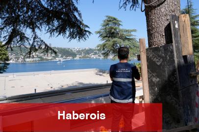 Boğaz'daki kaçak yapılaşma durduruldu!