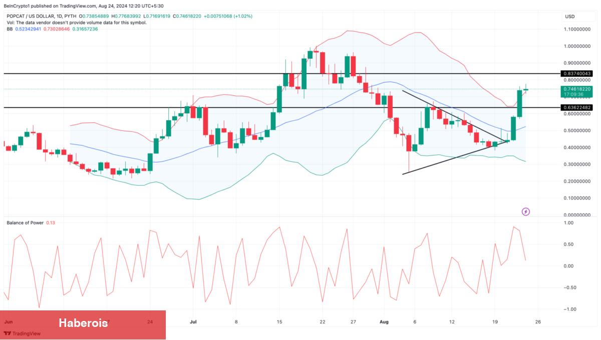 Bu 3 Göğüs Coin Haftanın Kazananları Oldu: Devamı Gelecek mi?