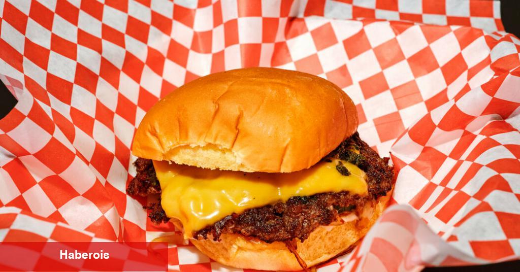 Burger Amerika'nın Bir Portresidir