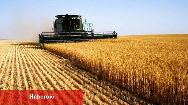 Bursa, tarım alanında nereye gidiyor?