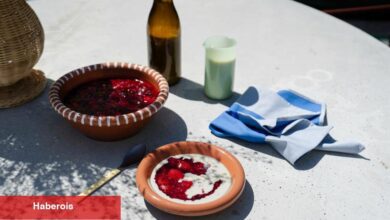 Danimarka Yazını Andıran Bir Meyveli Puding