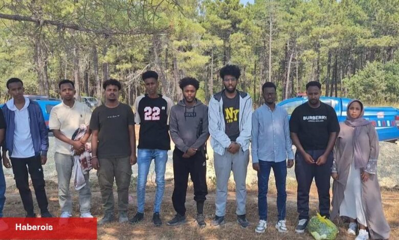 Edirne'de 24 göçmen yakalandı - Haberois Edirne'de 24 göçmen yakalandı