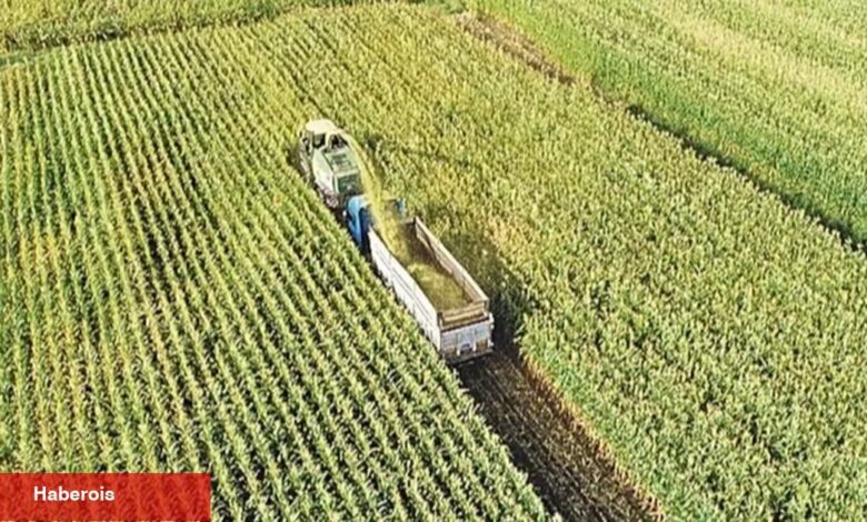Ekilmeyen tarım arazisi devlet tarafından kiraya verilecek - Haberois Ekilmeyen tarım arazisi devlet tarafından kiraya verilecek
