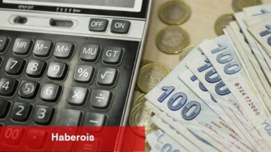 Elektronik vergi kontrolü periyodu başlıyor