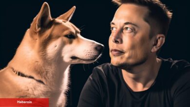 Elon Musk, Paylaşımıyla Dogecoin Topluluğunu Şoke Etti!