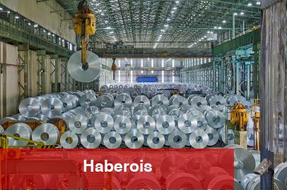 Erdemir 60. yıla 'Özel Endüstri Bölgesi' olarak giriyor