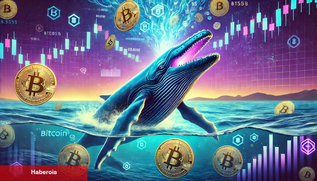 Faiz Kararları Kapıda: Bitcoin Balinaları Eylül’de Neler Planlıyor?