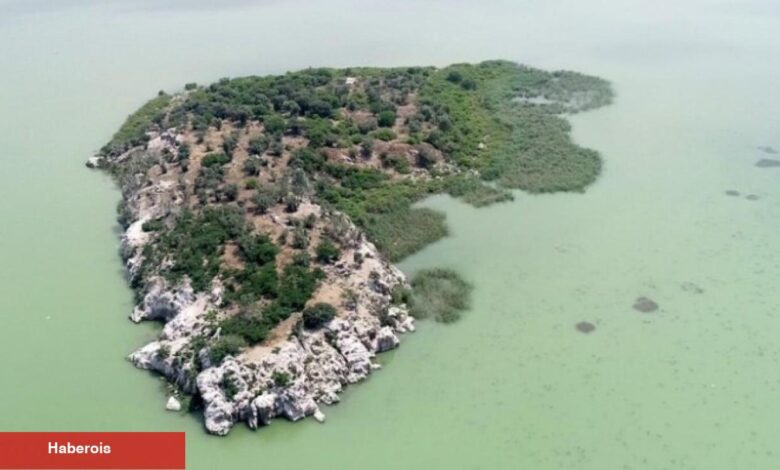 Gölün ortasındaki dev ada satışa çıkarıldı! Fiyatı dudak uçuklattı - Haberois Gölün ortasındaki dev ada satışa çıkarıldı! Fiyatı dudak uçuklattı