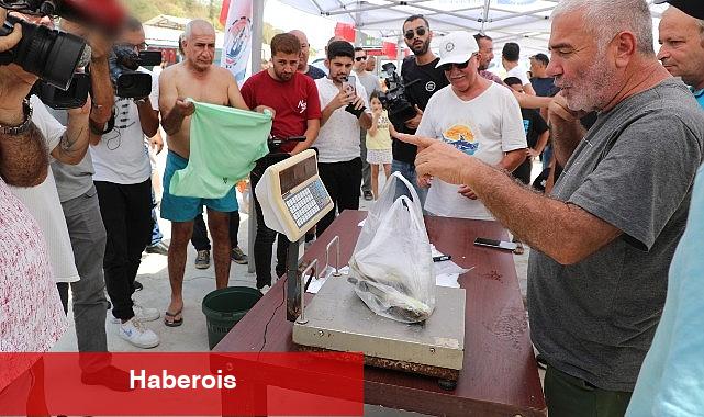 İstilacı balon balığını yakalamak için yarıştılar - Haberois İstilacı balon balığını yakalamak için yarıştılar