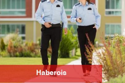 İşverenler en çok güvenlik görevlisi arıyor