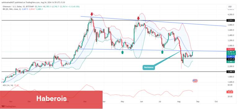 Kripto Yatırım Fonu Müddet Verdi: Bu Altcoin, Güçlü Rakibini Devirecek!