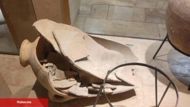 Müzede tansiyon yükselten olay! 4 yaşındaki çocuk 3 bin 500 yıllık testiye bakın ne yaptı