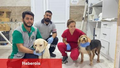 O can dostlara Menemen'de şefkat eli