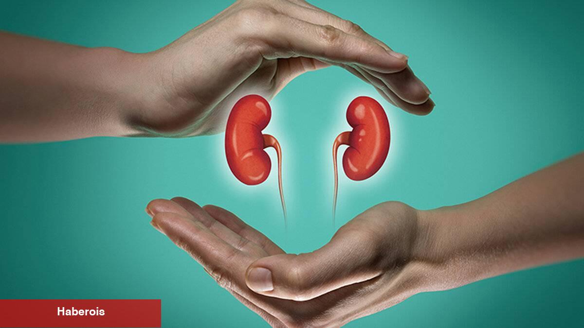 Sağlıklı böbrekler için mutfakta olmazsa olmaz 9 besin - Haberois Sağlıklı böbrekler için mutfakta olmazsa olmaz 9 besin