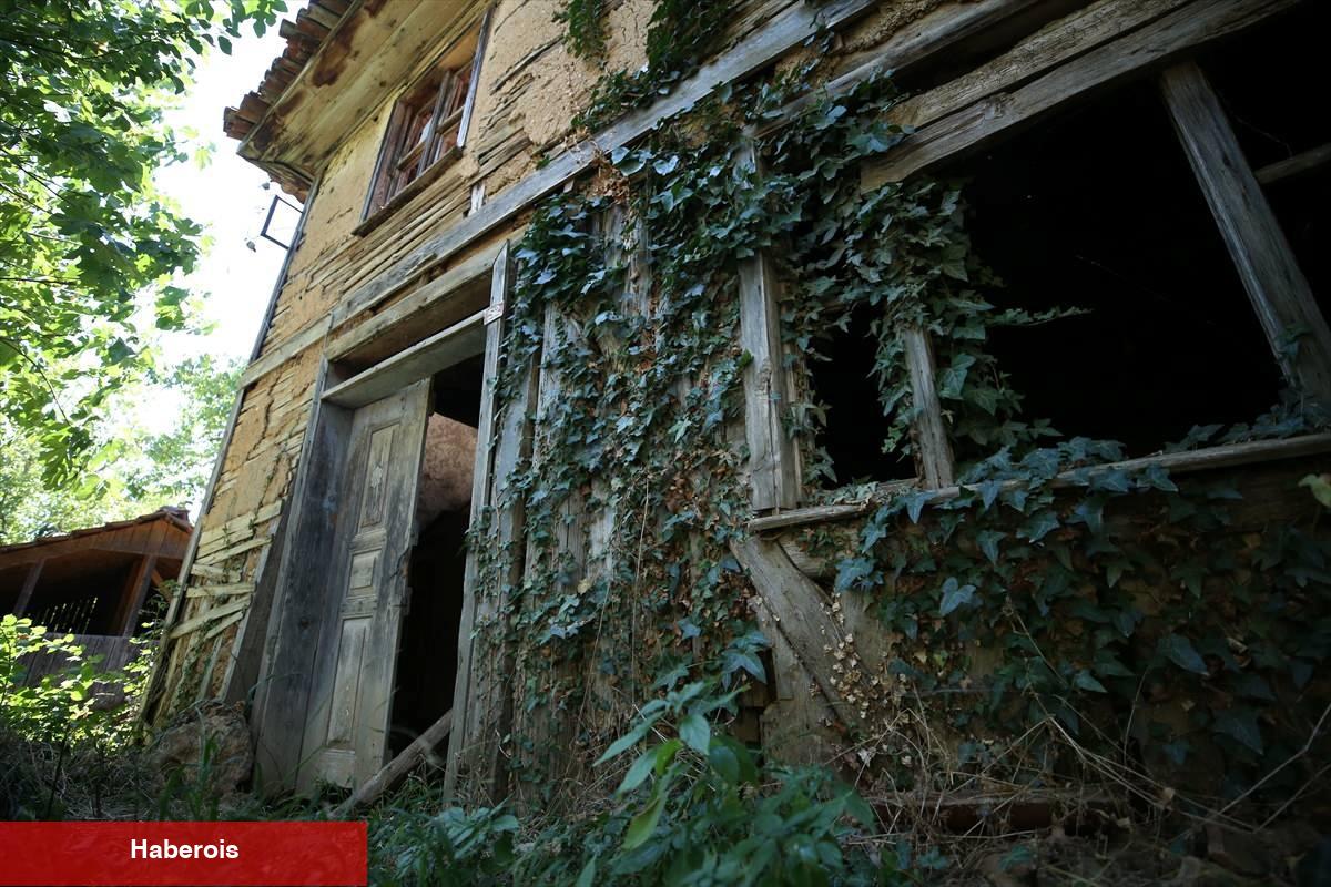 Sarmaşıkların ortasında kalan asırlık cami! Mütevazi yapısı dikkat çekiyor