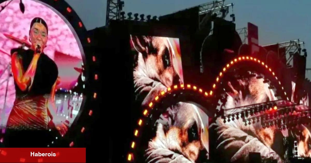 'Sen ağlama' şarkısıyla sokak hayvanlarının sesi oldu