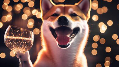 Shiba Inu, Kritik Hamleyi Yaptı: SHIB için Ne Manaya Geliyor?