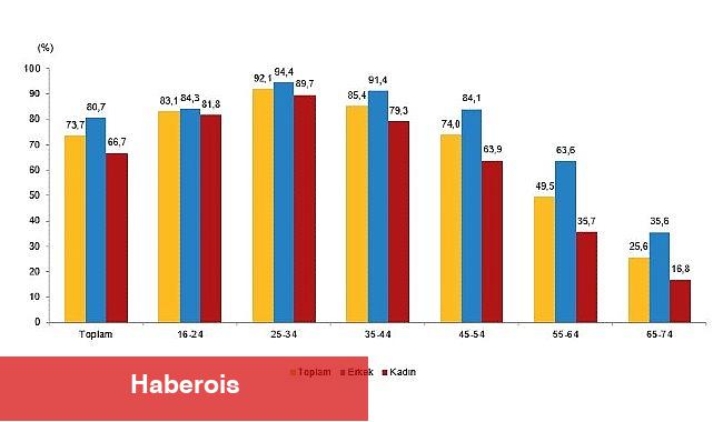 Tüik: İnternet kullanan bireylerin oranı %88,8 oldu - Haberois Tüik: İnternet kullanan bireylerin oranı %88,8 oldu