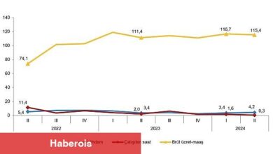 Tüik: İstihdam endeksi yıllık %4,2 arttı