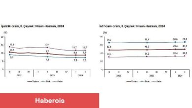 Tüik: Mevsim etkisinden arındırılmış işsizlik oranı %8,8 seviyesinde gerçekleşti